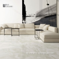 Foshan High Quality 60x60 & 60x120 Ceramic Digital Wall Tiles for Home Decoration